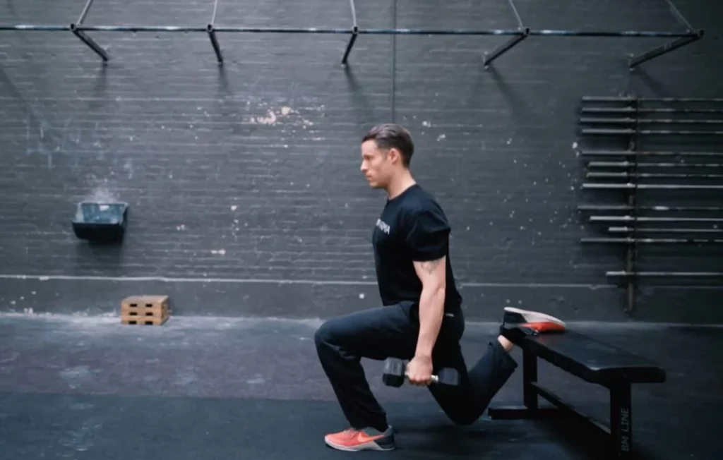 Rear-Elevated Split Squat Bulgarian Split Squat Exercise