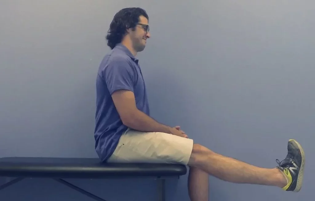 Seated Leg Extensions Exercise